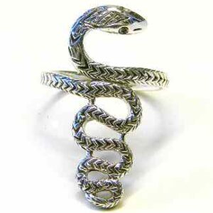 Schlangenring I – Silber - Ratatoskr