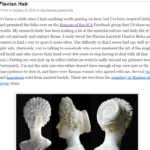 https://strangewayes.wordpress.com/2014/10/19/flavian-hair/